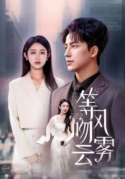破晓之光 电视剧封面